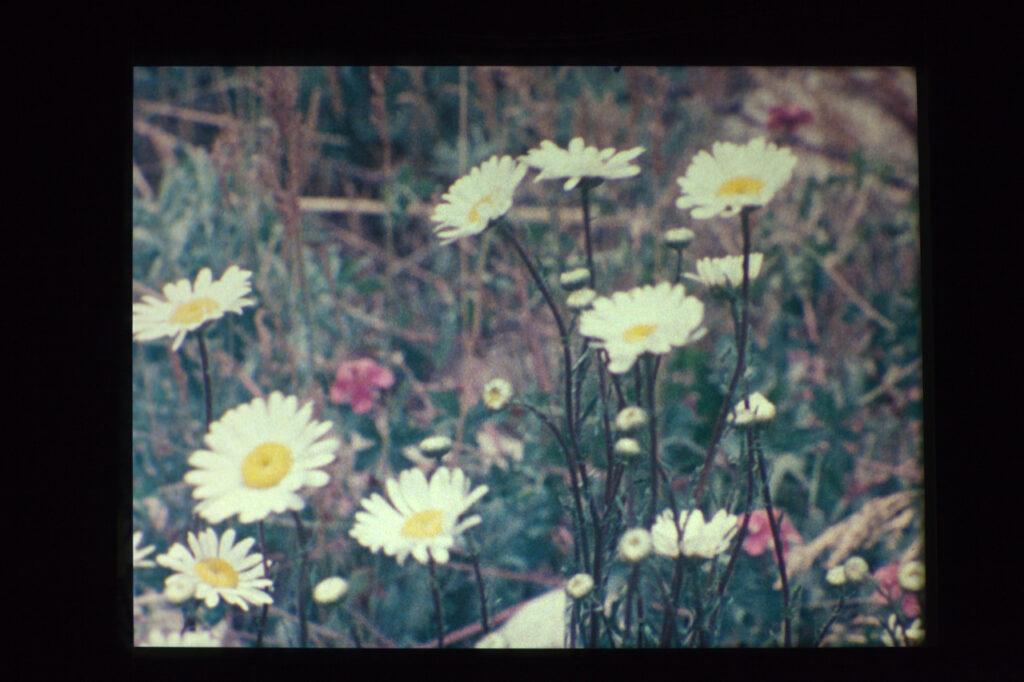 Agnes Martin, Gabriel, 1976, 16mm film, 2 reels, Answer Print Negative printing rolls, total running time: 78 minutes, VIDEO, No. 54668, format of original photography: hi-res tiff [film stills]